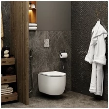 Подвесной безободковый унитаз CERUTTI SPA Oglio Aria CT8909 Белый Микролифт Быстросъемная крышка